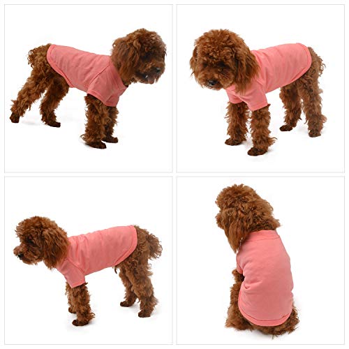 longlongpet 2019 - Disfraz de Perro, Camiseta para Perros Grandes y medianos, 100% algodón, 18 Colores Lotus Pink Medium