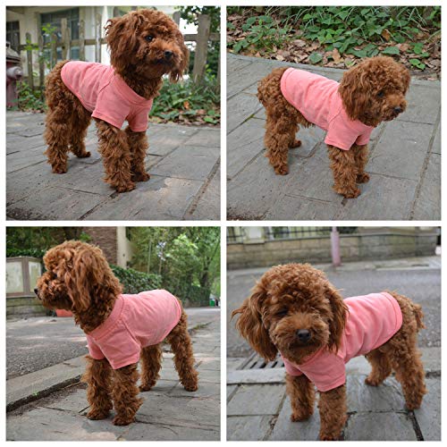 longlongpet 2019 - Disfraz de Perro, Camiseta para Perros Grandes y medianos, 100% algodón, 18 Colores Lotus Pink Medium