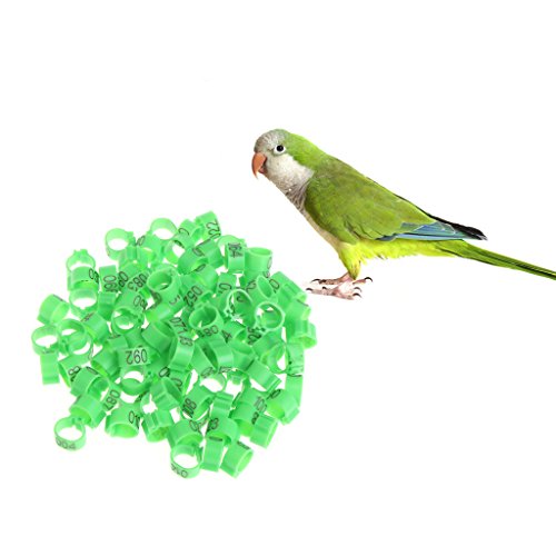 luosh Número de Pierna Bandas de pájaros, 100 Piezas Anillos de Pierna para Canarios Aves Pollo Codorniz Paloma Anillos de pie de Paloma Suministros de Entrenamiento, 10 mm