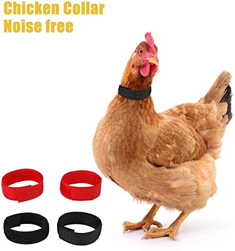 LuukUP Collar De Pollo,4 Paquetes de Collar de Pollo Anti-Gancho sin Ruido Banda para el Cuello para Pollo, Patos, Gansos Y Otras Aves De Corral: Evite Que Los Pollos Griten