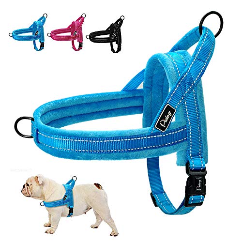 LYDCX Arnés para Perros Pitbull Arnés Reflectante para Perros Bull Arnés para Caminar Paseos para Perros Pug para Perros pequeños medianos Grandes Azul Negro XS ML