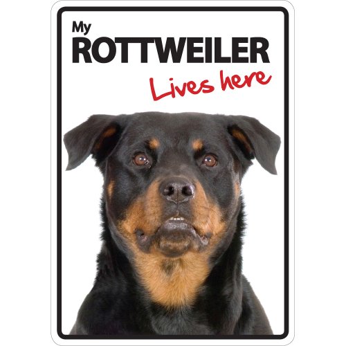 Magnet & Steel 23-3629 Señal A5 Rottweiler - Lives Here, 14.8 x 21 cm