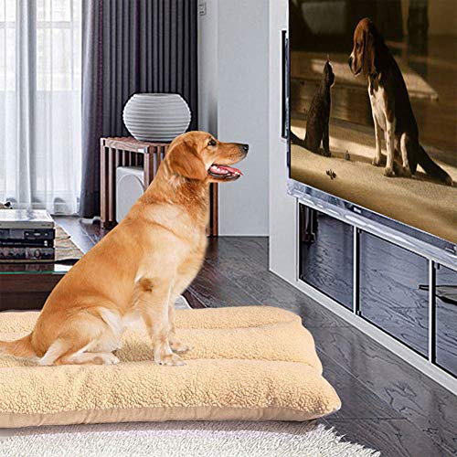 Malayas Cama para Perros Sofá Suave y Lavable con Cojín Desmontable Cómodo Casa para Mascotas Perros Gatos Cachorros Tamaño XL 120 x 80 x 17cm