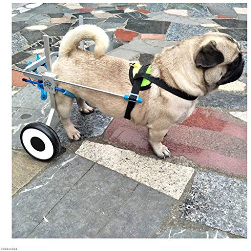 Maogou Cama para Mascotas El Perro discapacitado asistió la Pata Trasera, ciclomotor para Mascotas, 2 Ruedas para Bicicleta de Ruedas para Perros, Silla de Ruedas, libremente Ajustable (Size : M)