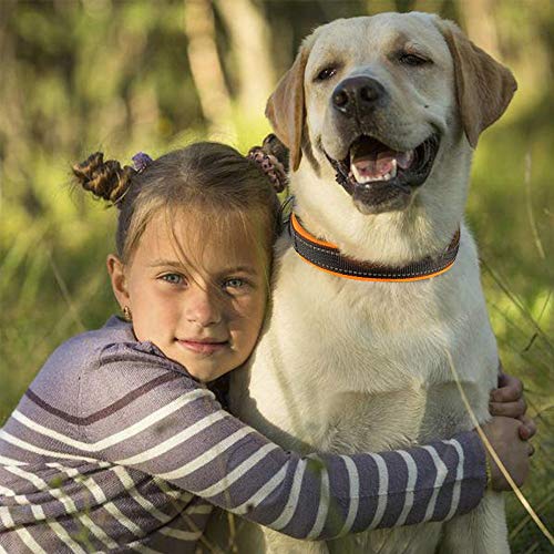 MASBRILL Collar de Perro Reflectante Ajustable Space Cotton Collar Transpirable, Adecuado para la mayoría de los Tipos de Perros de Raza, Collares Ligeros de Entrenamiento al Aire Libre