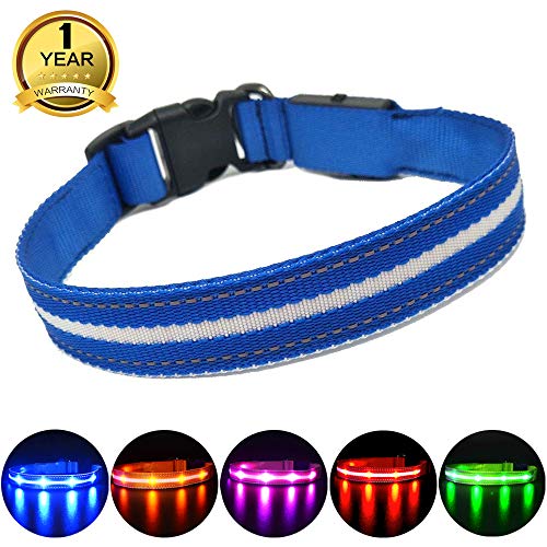 MASBRILL Cuello de Seguridad LED súper Brillante DC Recargable para Perros - excelente Visibilidad y Seguridad - Resistente al Agua