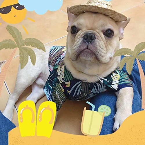 Meioro Ropa para mascotas Ropa para perros Cómoda camisa de perro Estilo hawaiano Estilo de vida costera Material de algodón Cachorro Bulldog francés Pug (Blue-L)