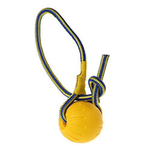 Mentin Juguete de adiestramiento para Perro de compañía de Pelota de Goma Pelota de Perro Juguete Resistente a los Morsures Juguete con 75 cm Cuerda