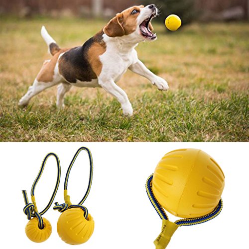 Mentin Juguete de adiestramiento para Perro de compañía de Pelota de Goma Pelota de Perro Juguete Resistente a los Morsures Juguete con 75 cm Cuerda