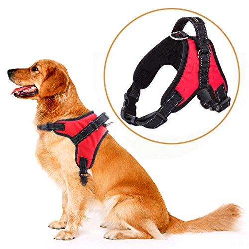 MerryBIY Arnés del Animal Doméstico Pet Harness Perro Collar Chaleco para Mascotas en el Pecho Correas con la Manija Accesorio Cuerda Lo Mejor para Pasear(Rojo, L)