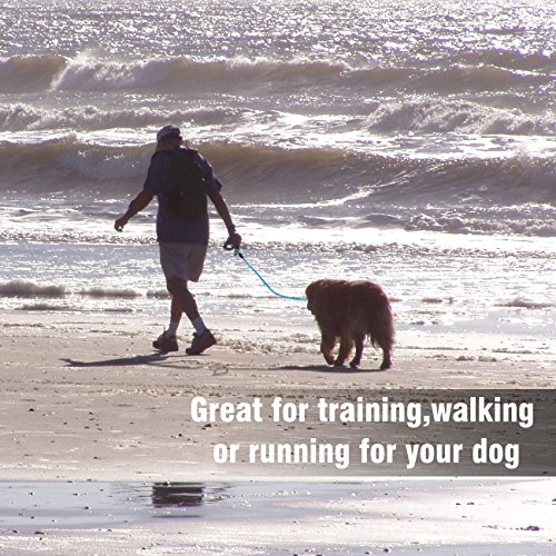 Minve Cuerda para Perro, 5 pies de Hilos Reflectantes de Nailon para Escalada de montaña, Correa de Perro Fuerte y Duradera con Mango Acolchado Suave para Perros pequeños, medianos y Grandes