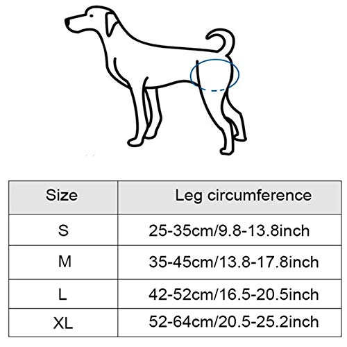 MMQQL Arnés de Soporte para Perros, Herramienta de Asistencia de Ayuda con Honda Ajustable para Mascotas Soporte para Ayuda Piernas débiles para Mascotas de pie Piernas traseras para Perros