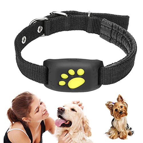 MMQQL Perro rastreador, Impermeable Collar del Animal doméstico del GPS Perros de los Gatos Perro GPS posicionador localizador Dispositivo de Vallas de Cable Recargable para Mascotas Seguridad Perro