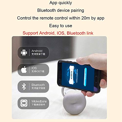 mnzncrfee Juguete para Mascotas con Control Remoto Wickedbone, Juguete Interactivo con Control Virtual de balancín App Juguete para Mascotas con Hueso de Perro Inteligente