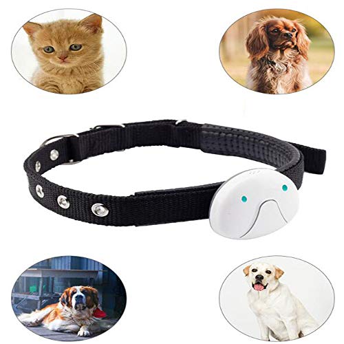 Monitor GPS para Mascotas, para Perros, Gatos, Impermeable, Collar de Mascota, Monitor de Actividad, Tiempo de Espera Largo con Alarma SOS, antipérdida, Voz de Llamada a Distancia, Seguridad