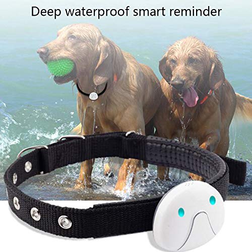 Monitor GPS para Mascotas, para Perros, Gatos, Impermeable, Collar de Mascota, Monitor de Actividad, Tiempo de Espera Largo con Alarma SOS, antipérdida, Voz de Llamada a Distancia, Seguridad