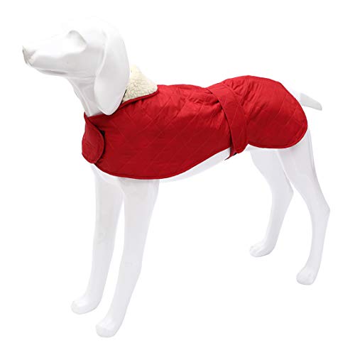 Morezi Chaqueta para Perro, Abrigo de Invierno para Perro con Forro Polar cálido, Impermeable con Bandas Ajustables para Galgos, Langostas y Marionetas