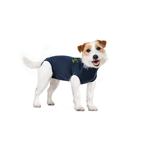 MPS Perro de Mascota Camiseta XXL Azul Marino