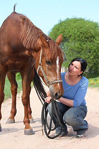 MSM metilsulfonilmetano abono orgánico azufre en polvo para caballos, perros, gatos 99%