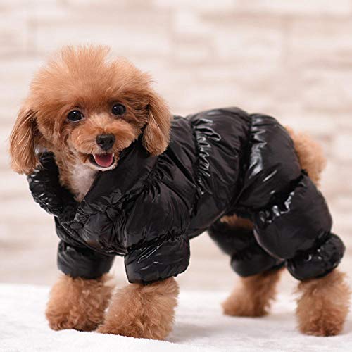 MumuXiDy Impermeable Invierno Mascota Chaqueta para Perros Abrigo Ropa de Abrigo para Perros pequeños y medianos Bulldog francés Pug Monos Cachorro Chihuahua Ropa