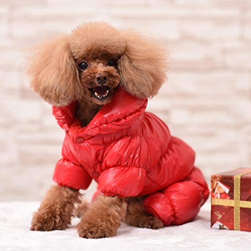 MumuXiDy Impermeable Invierno Mascota Chaqueta para Perros Abrigo Ropa de Abrigo para Perros pequeños y medianos Bulldog francés Pug Monos Cachorro Chihuahua Ropa