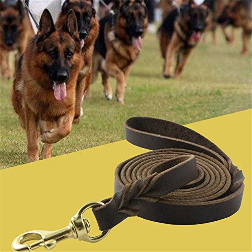 MYYXGS Correa para Perros - Tela de Cuero Muy Duradera y Suave, Suave y Resistente al Agua, Buena para Cortar y Tejer, 2,1 m (1,2 cm)