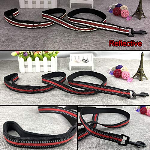 Newtensina Reflexivo Nylon Perro Collar con Forro de Neopreno Cool Color de Contraste Perro Collar y Correa para Perros - Rojo - L