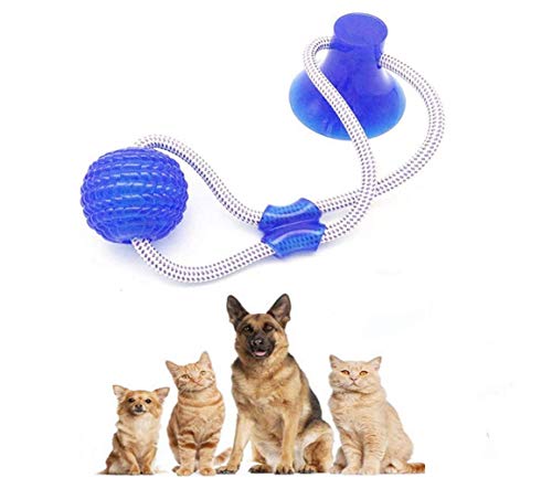 Nifogo Pet Molar Bite Toy ，Juguete Multifuncional para mordedura de Molar Juguete con Ventosa Juguetes para morder para Perros Juguetes para Perros Molar para Mascotas (Azul, 2 pcs)