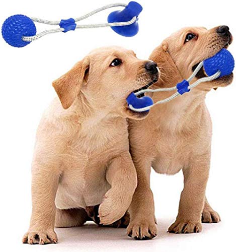 Nifogo Pet Molar Bite Toy ，Juguete Multifuncional para mordedura de Molar Juguete con Ventosa Juguetes para morder para Perros Juguetes para Perros Molar para Mascotas (Azul, 2 pcs)