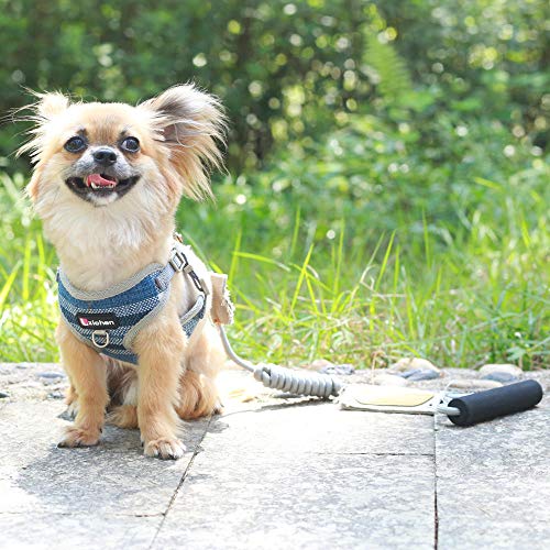 NiQiShangMao Correa para el Arnés del Perro del Animal Doméstico Chaleco del Arnés del Perro de la Lona Ajustable, Arnés del Entrenamiento de la Caminata del Perrito para Yorkie de Chihuahua