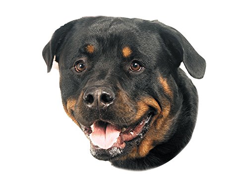 Nobby Adhesivo Rottweiler