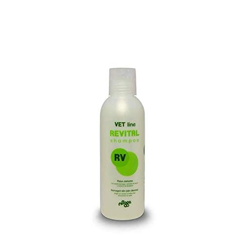 Nogga - Champú Nogga Revital Rv - 430 - 150 ml.