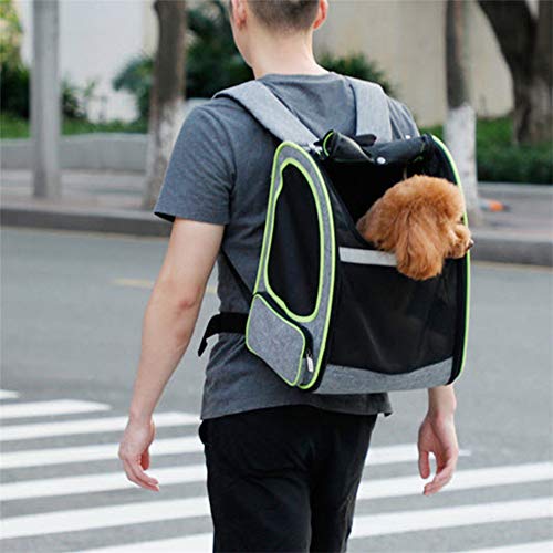 NTT Mochila para Perros aprobada por la aerolínea, Bolsa para Mascotas con Malla, poliéster, Resistente al Agua y al Desgaste, Transpirable, fácil de Limpiar y Doblar