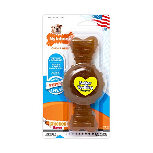 Nylabone Cachorro