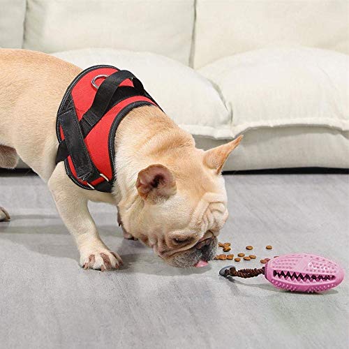 onebarleycorn – Cepillo de Dientes para Perro, Juguete para Masticar Pelota de Entrenamiento para Cachorros Cuidado Dental Limpieza de Dientes no tóxica Goma Natural Resistente a mordidas (Rosa)