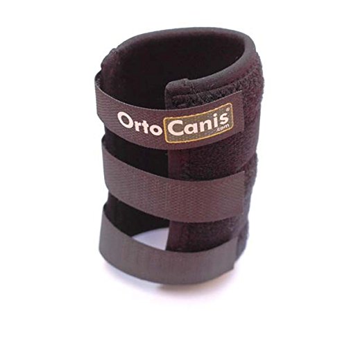 Ortocanis - Muñequera para Perros con artrosis, Lesiones a ligamentos, tendones o Perros Que practican Agility - Talla XS