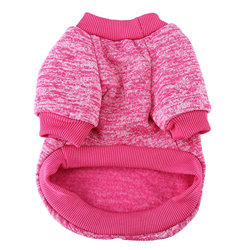 Pangding Suéter para Mascotas, Moda otoño Invierno, Ropa, Trajes, Ropa, Abrigo, Chaqueta, para Perro Cachorro, Gato(M-Rosa roja)