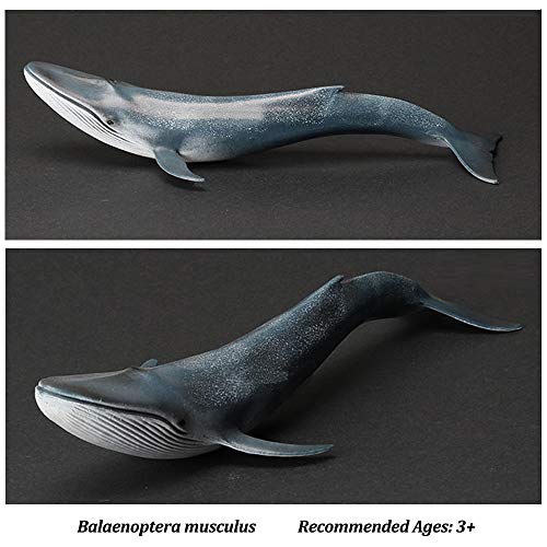 Paquete de 3 Adornos para acuarios de tiburones Megalodon, decoraciones de acuarios, seguros para todos los peces y mascotas acuáticas Juguetes Meg para decoraciones infantiles y para el hogar