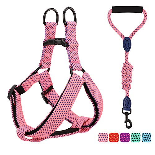 Pawaboo Kit de Correa y Arnés para Perro, Ajustable Cuerda y Arnés del Chaleco para Cachorro para Entrenamiento pasear Correr con su Mascota, Talla L - Rosado