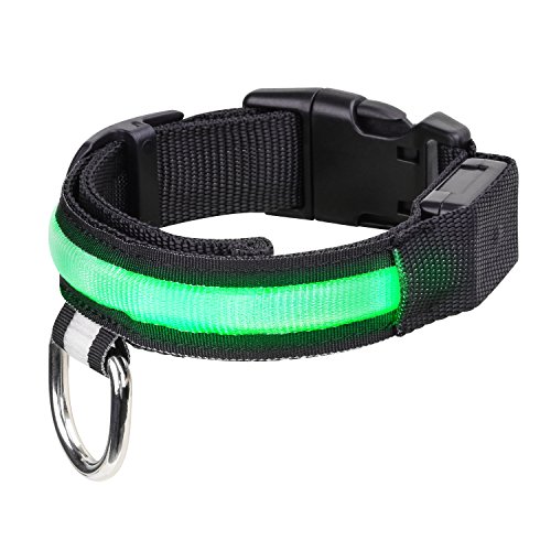 Pawaboo LED Collarín de Perro - Adjustable Brillante Dog Safety Collar de 11.8-15 Pulgadascon Pom Rápido Hebilla para Paseos Nocturnos, Mejorar la Visibilidad y la Seguridad del Perro, Verde