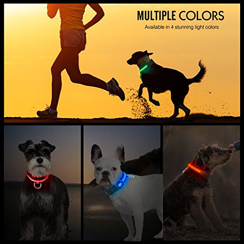 Pawaboo LED Collarín de Perro - Adjustable Brillante Dog Safety Collar de 11.8-15 Pulgadascon Pom Rápido Hebilla para Paseos Nocturnos, Mejorar la Visibilidad y la Seguridad del Perro, Verde