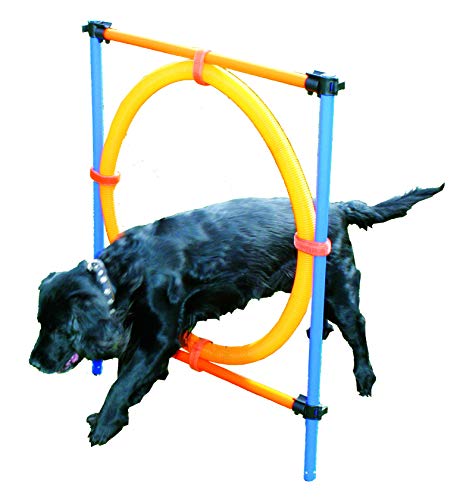 PAWISE 11433 Agility Salto Anillo Perros Training Vallas Jumping Anillo