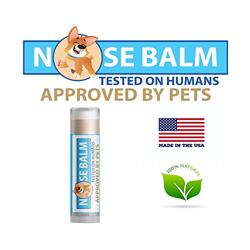 Pawtitas Cera para la Nariz de su Perro con Crema Hidratante para la parte agrietada y seca del hocico del perro | Balsamo para perro humecta y suaviza la piel seca en la nariz de su cachorro - 4,5 ml