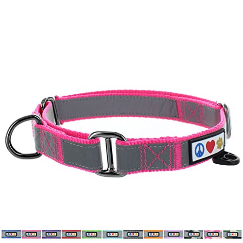 Pawtitas Collar de Perro Martingale Reflectante para obediencia Talla Pequeño Color Rosa