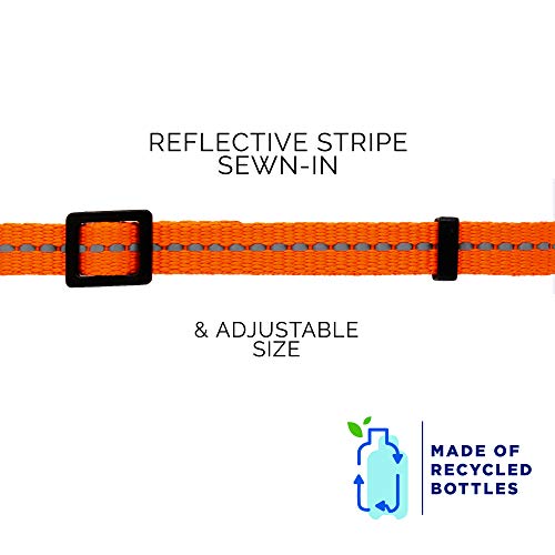 Pawtitas Collar para gato Reciclable de botellas de plastico con cascabel removible y cierre seguridad para sus mascotas | Collar de gato reflectante con hebilla de seguridad - Collar Naranja Habanero