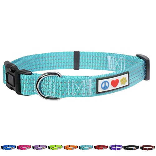 Pawtitas Collar Reflectante Collar de Perrito Collar de Mascota Collar de Entrenamiento Mediano Collar de Perro Turquesa Collar de Perro