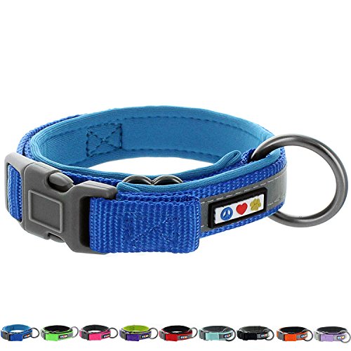 Pawtitas Collar Reflectante para Perro Ideal para el adiestramiento de tu Cachorro | Collar para Perro Ajustable, Reflectante y acolchonado - Collar Mediano Color Azul