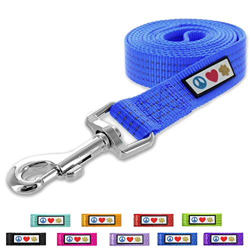 Pawtitas Correa para Perro y Cachorro Reflectante Extra Pequeño/Pequeño 1,2 Metro Azul