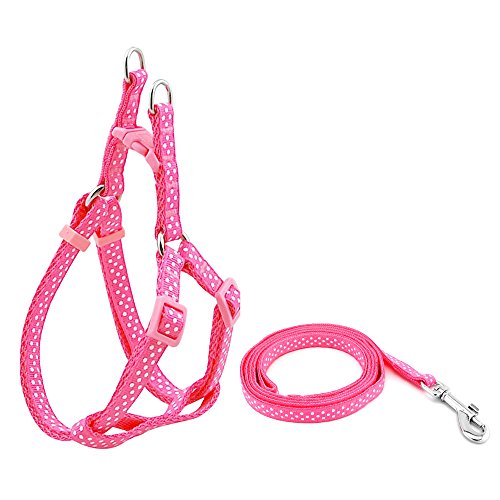 Pegasus Nailon Mascota Perro Arnés Correa Correa de lunares Walk Leads ajustable