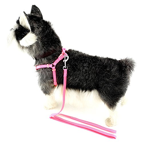 Pegasus Nailon Mascota Perro Arnés Correa Correa de lunares Walk Leads ajustable